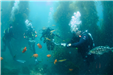 Scuba Diving 13