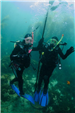 Scuba Diving 5