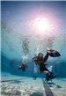 Scuba Diving 7